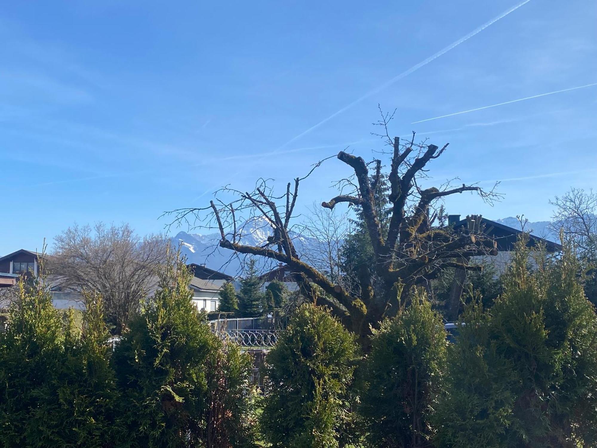 Burgblick Haus Fux-immo, 10min Zum Skifahren, 10 Min Zum See, Rundherum Wandern Und Radeln Apartamento *